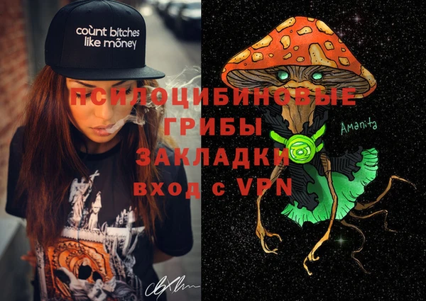 прущая мука Краснослободск