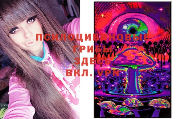 гашик Краснотурьинск