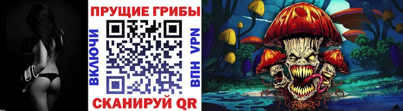 Галлюциногенные грибы ЛСД  Купить где  Городец 